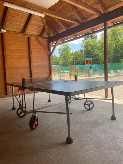 Stolní tenis
